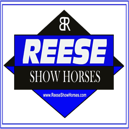 reeseshowhorses.com