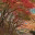matrixmatters.wordpress.com
