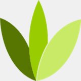 mindsethypnotherapy.co.uk