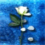 justelesmots.over-blog.com