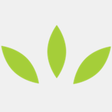 businessfinancialadvisor.com