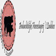 lindseyfamilysite.com