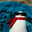 littlepenguindude.com