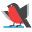intickets.ru