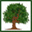 treeservicewakeforest.com