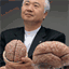 brain-story.net