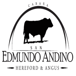 sanedmundoandino.com