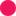 pikasis.com