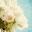 gypsyjanephotography.wordpress.com