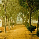 onlinecam.org