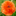 stone-and-flower.com