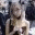 thetsukiuniverse.wordpress.com