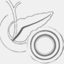workshop-pancreas.ro