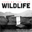 wildlifehc.bandcamp.com