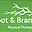 rootandbranchpt.com