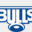 bluebullsshop.co.za