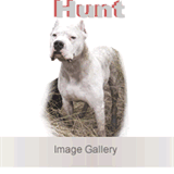 dogoargentinobodrum.tr.gg