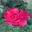 perfectlove.over-blog.com