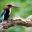 elemente2.wordpress.com