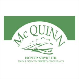mcquinnconsulting.ie