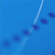 metro-argentina.com.ar