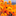 mustapharahmouniauberprime.over-blog.com