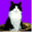 tuftie.notabit.de