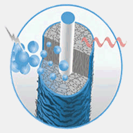 bioionic.it