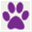 playful-pooch.com