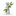 cellutionplus.com