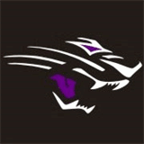 jaguarsvolleyballclub.com