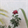 manseedabral.com