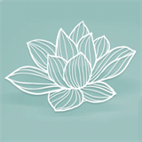 isorok.com