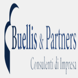 buellispartners.com