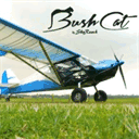 bushcatusa.com