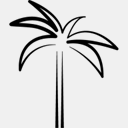 manasotaelite.com