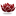 mindinstitute.com.pl