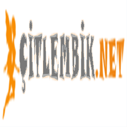 citlembik.net