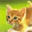 fuchs-und-elster-sippe.info