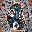 jainemarriottmosaics.co.uk