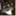 mrkitkat.wordpress.com
