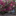 thulemin-en-asie.over-blog.com