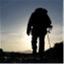 walkingwithdavid.com