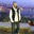 canerbayraktar.com