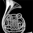 hornsocietyofthecarolinas.org