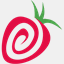strawberrydesignsshop.com
