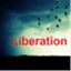 liberation14.wordpress.com