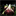 fieldscompilation.bandcamp.com