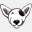 absolutebullterriers.co.uk