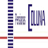 persianascoluna.com.br